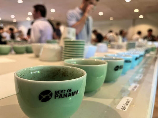 best of panama 2024