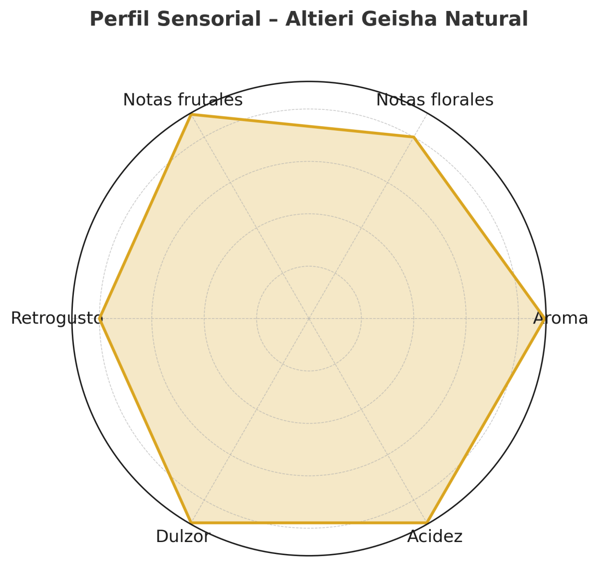 Altieri Geisha Natural – DFC Dilgo Lot 140224