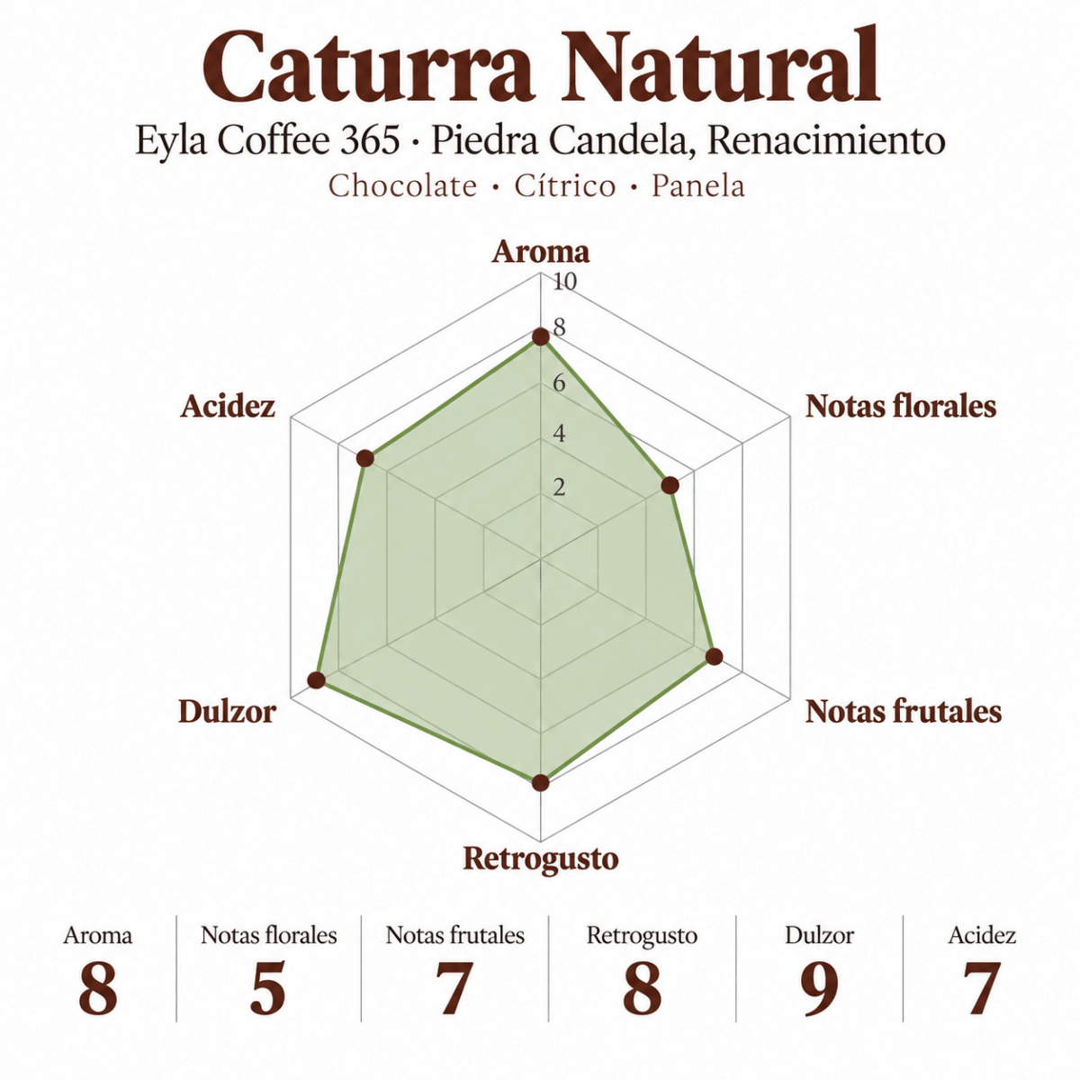 Caturra Natural – Eyla Coffee 365