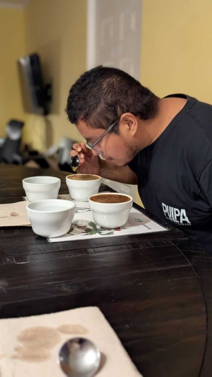 Cata de Cafe en Panama