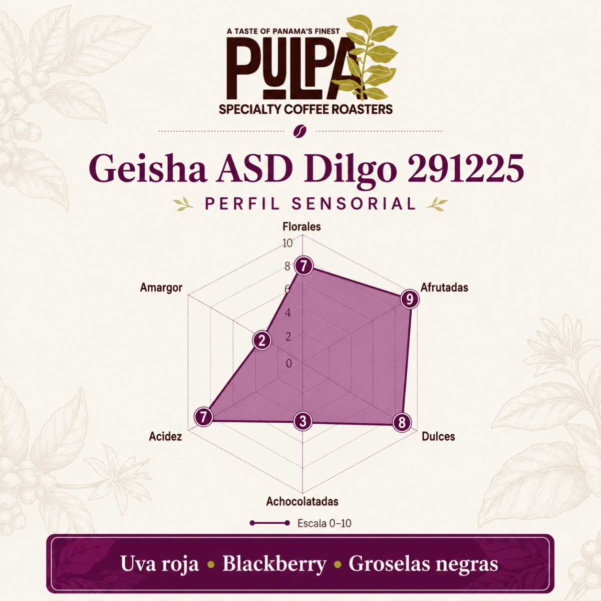 Geisha ASD Dilgo 291225 – Altieri Coffee