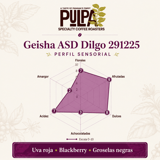 Geisha ASD Dilgo 291225 – Altieri Coffee