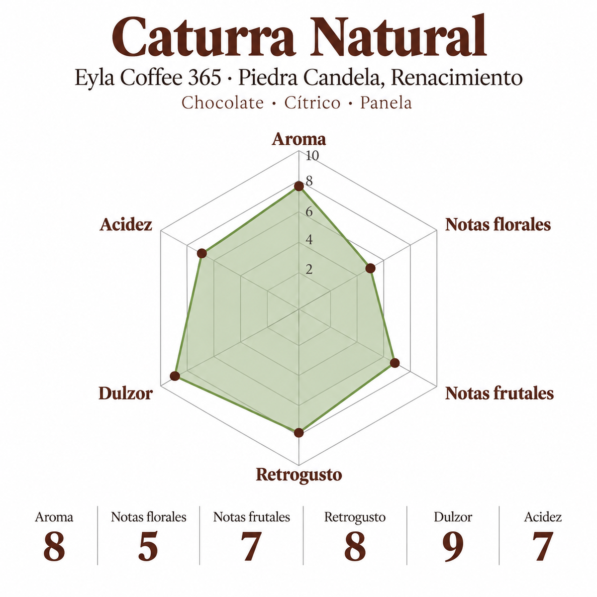 Caturra Natural – Eyla Coffee 365
