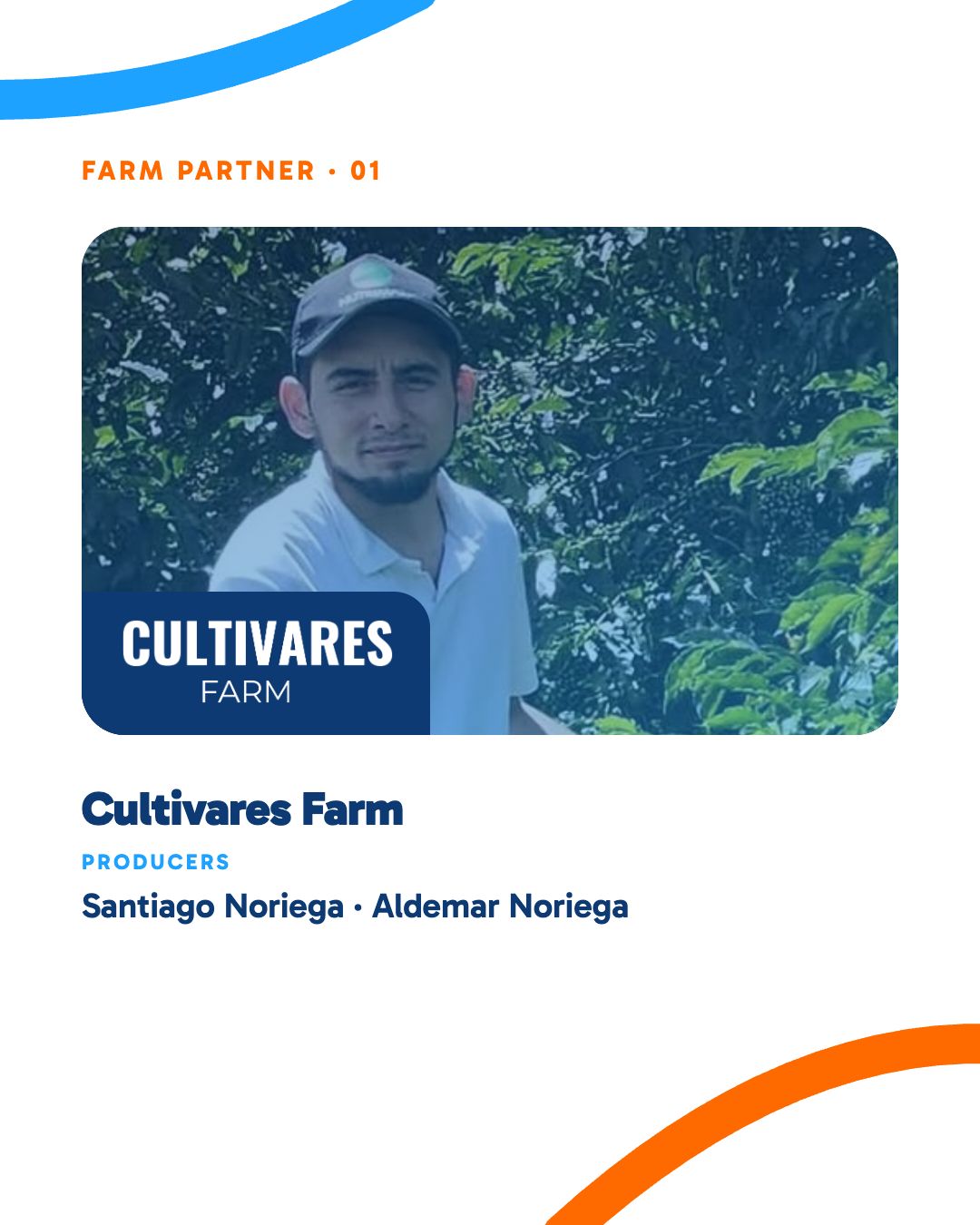 WOC WEEK - Cata de Cafes Colombianos