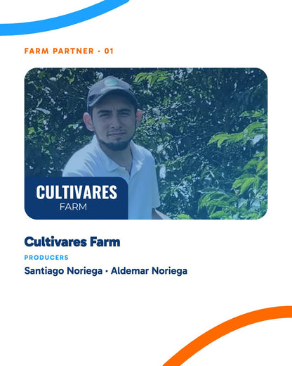 WOC WEEK - Cata de Cafes Colombianos