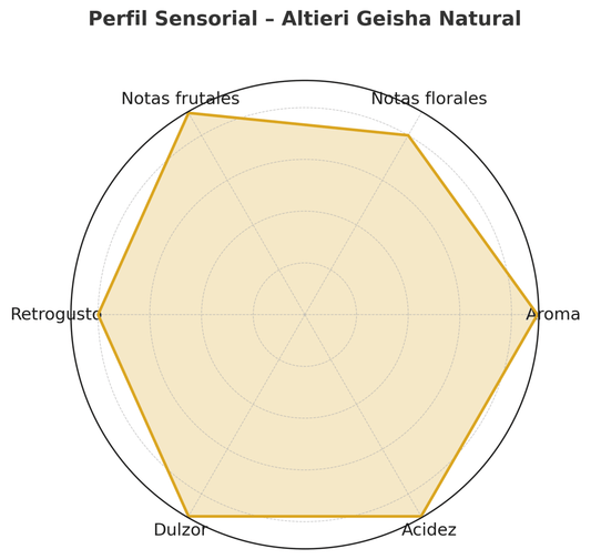 Altieri Geisha Natural – DFC Dilgo Lot 140224