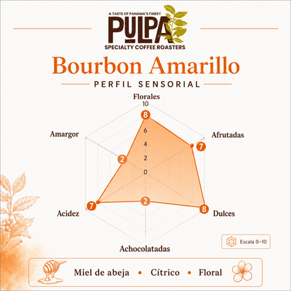 Bourbon Amarillo
