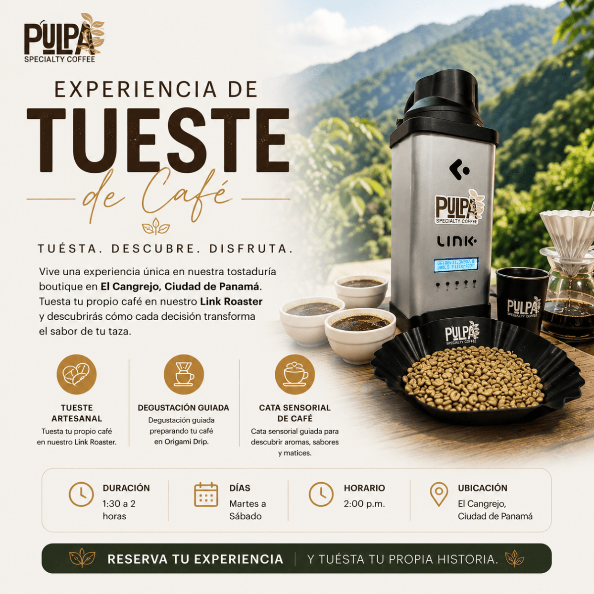 Experiencia tuesta tu propio café