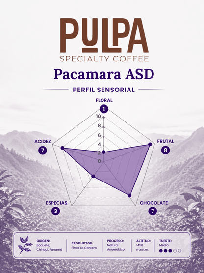 Pacamara ASD – Café de Especialidad de Panamá
