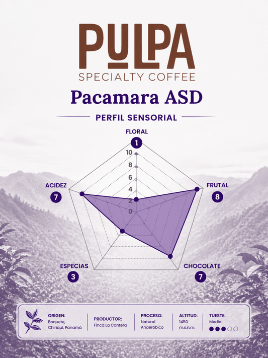 Pacamara ASD – Café de Especialidad de Panamá