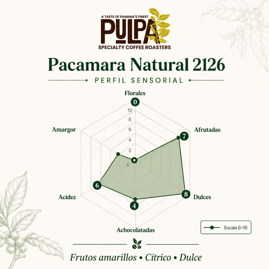 pacamara natural finca la alqueria