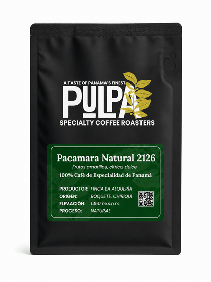 Pacamara Natural 2126 – Finca La Alquería