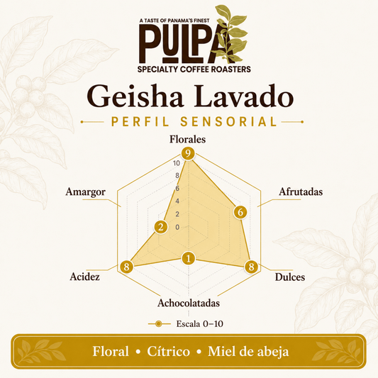 Panama Geisha Washed Single Origin