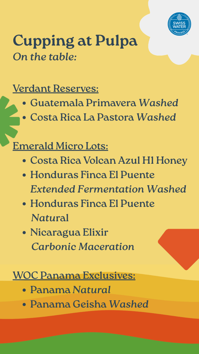 WOC WEEK - Cata de cafes de descafeinados con Swiss Water en Pulpa Coffee