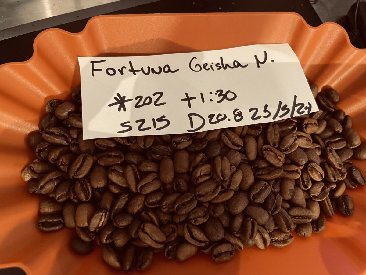 panama geisha coffee beans