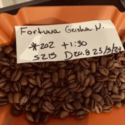 panama geisha coffee beans