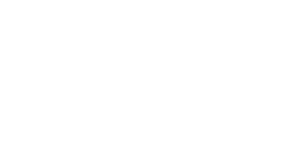 Pulpa Panama Geisha Coffee