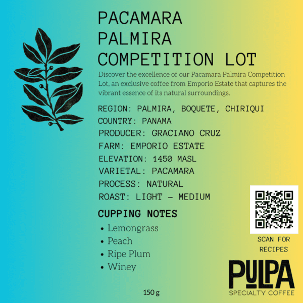 Pacamara Palmira Competition Lot